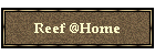 Reef @Home
