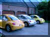 3Beetles_Parked_640x.jpg (162622 bytes)
