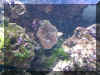 Anenome's Home_w.jpg (180351 bytes)