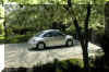 Beetle in Spring_640x.jpg (146789 bytes)