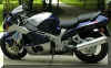 Busa.jpg (81095 bytes)