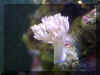 Image003_w.jpg (95909 bytes)